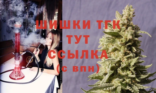 тгк Гусев