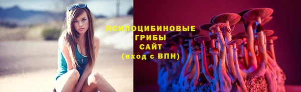 тгк Гусев