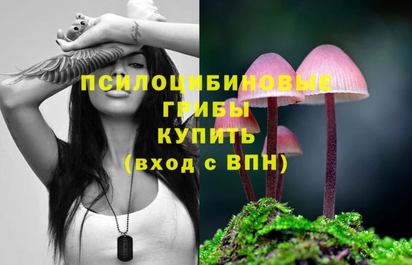 гашиш Дмитриев