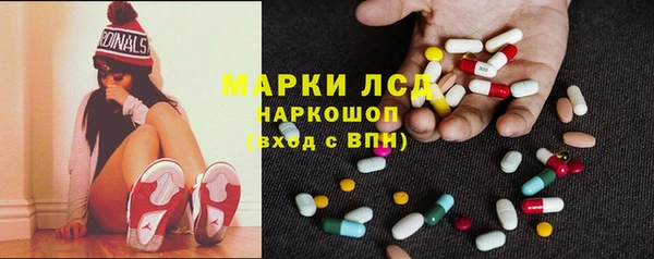 тгк Гусев