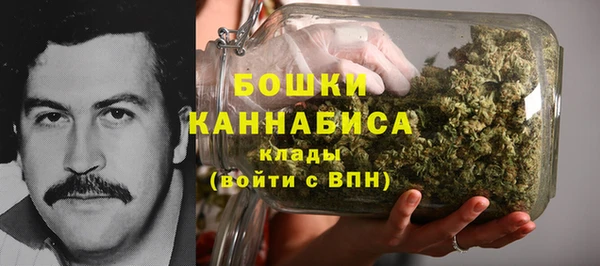 тгк Гусев